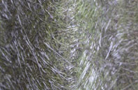 Upper Sundon fibreglass roof work